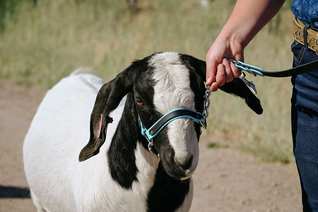 Goat Gear