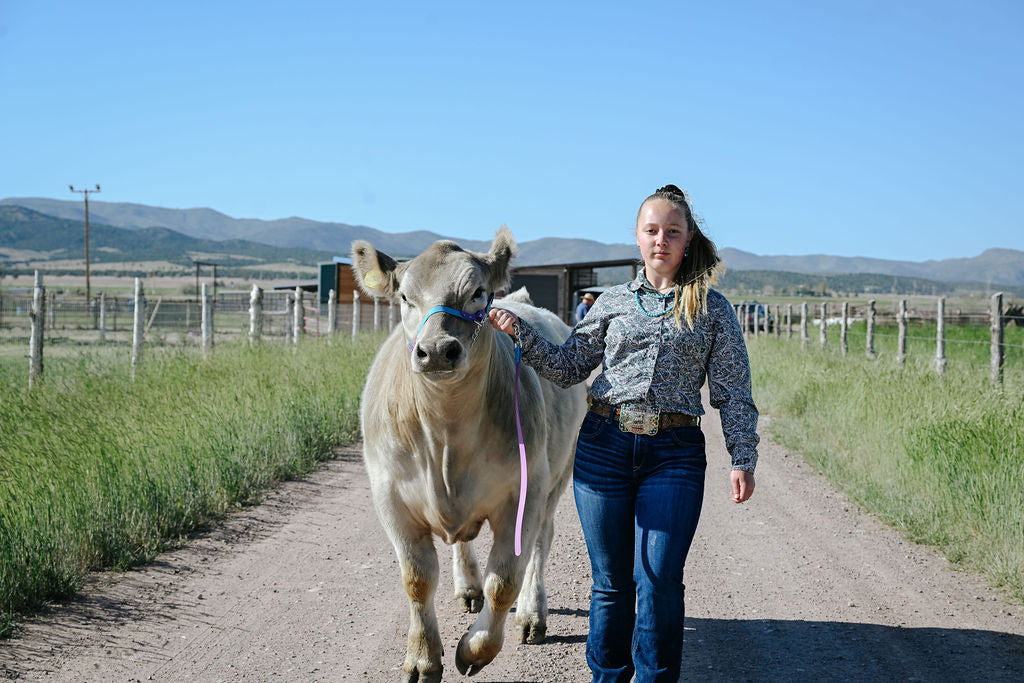 Cattle Gear