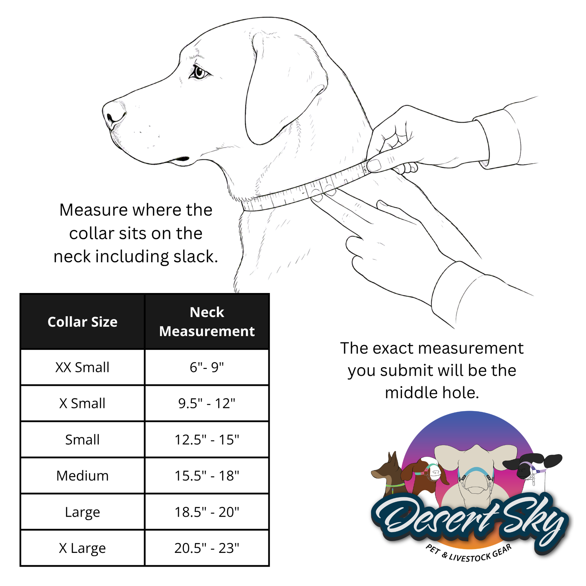 Instructional graphic for measuring a dog collar, showing a line drawing of a dog with hands measuring the neck, plus a size chart table and the Desert Sky brand logo.