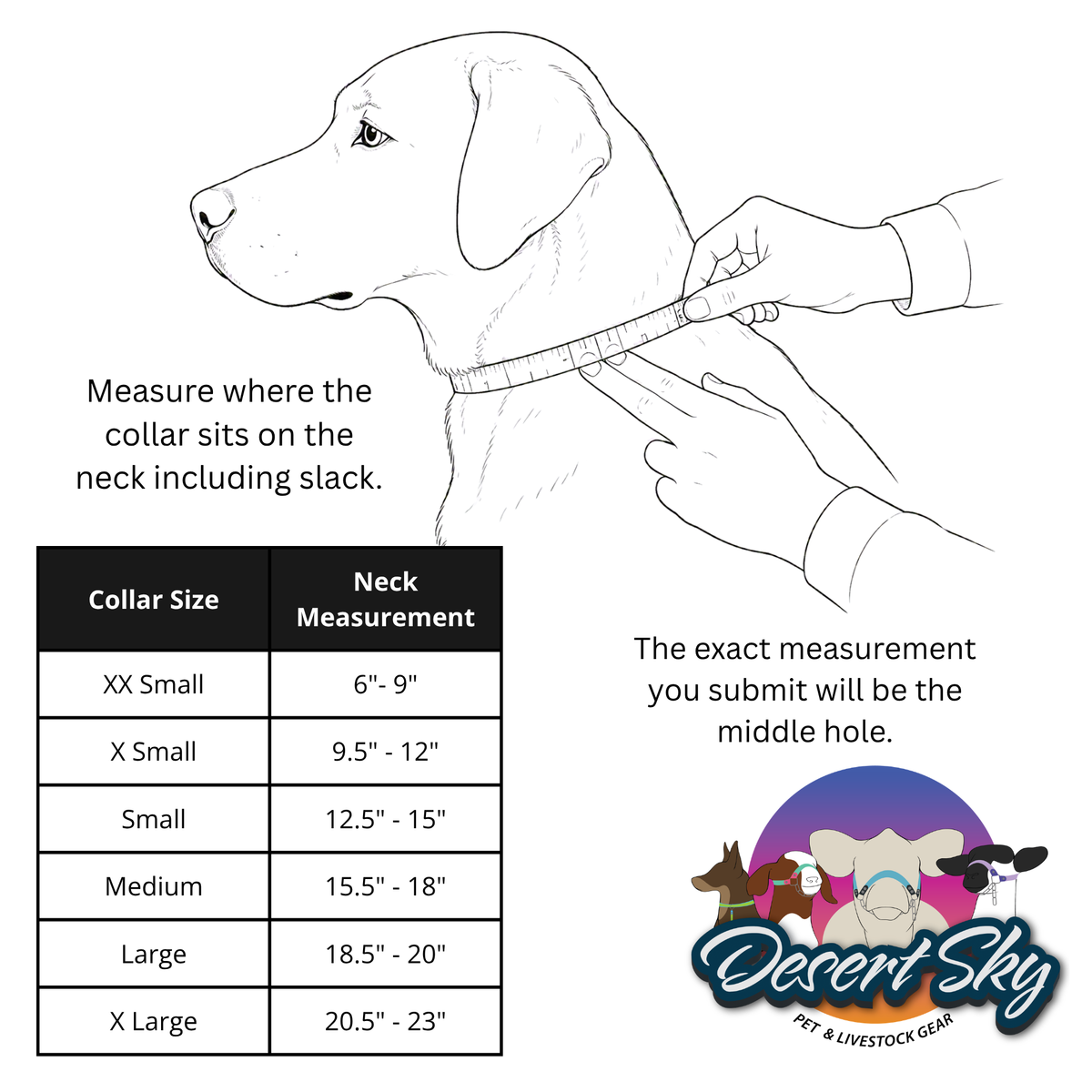 Biothane Dog Collar — Duo Style