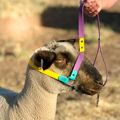 Biothane Lamb Halter — Trio Style