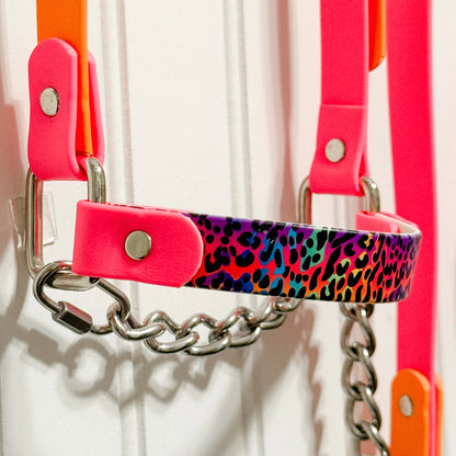 Rainbow Cheetah Biothane Halter