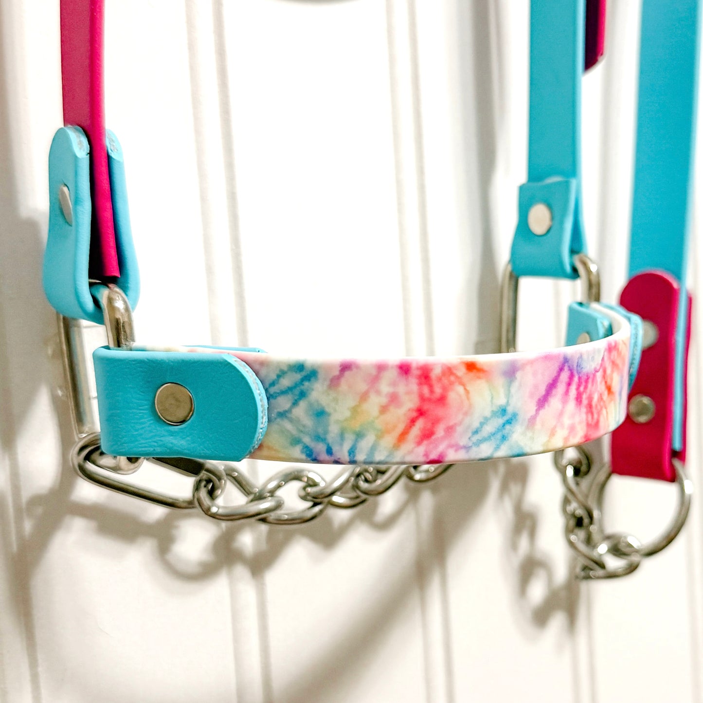 Pastel Tie Dye Biothane Halter