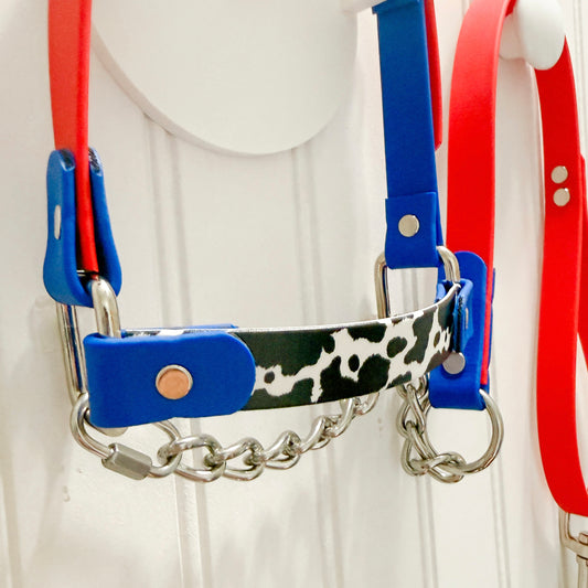 Red, White, and Moo Biothane Halter