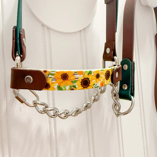Sunflower Biothane Halter