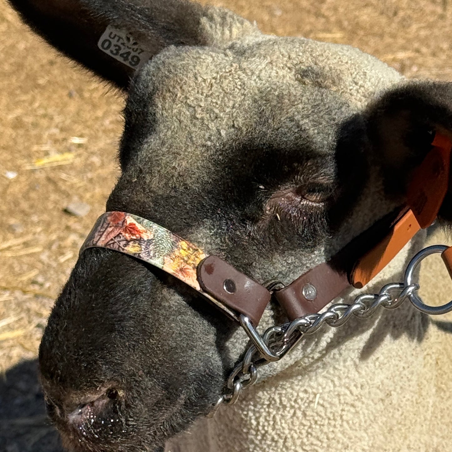 Fall Camo Biothane Halter
