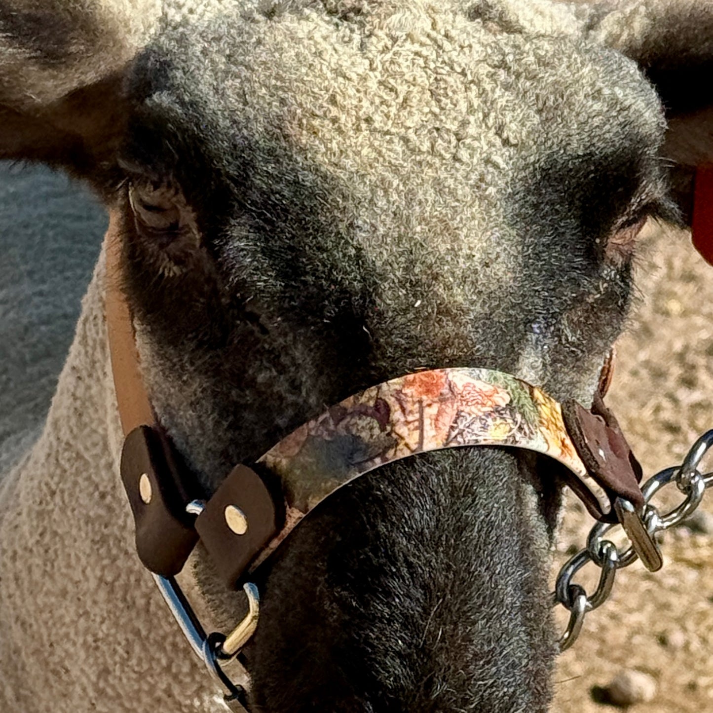 Fall Camo Biothane Halter