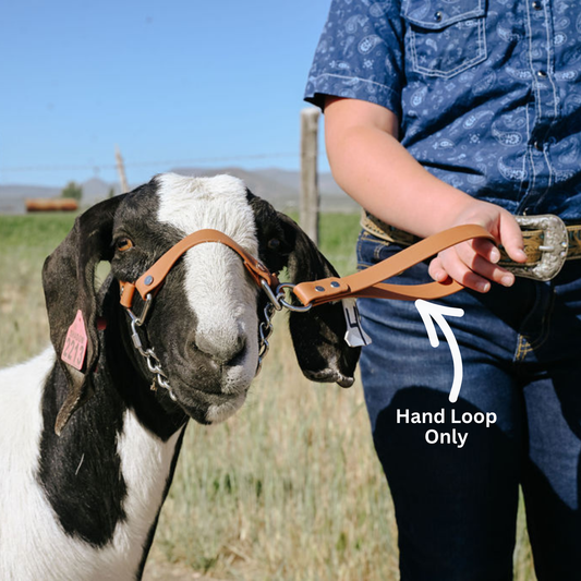 biothane hand loop for sheep or goats