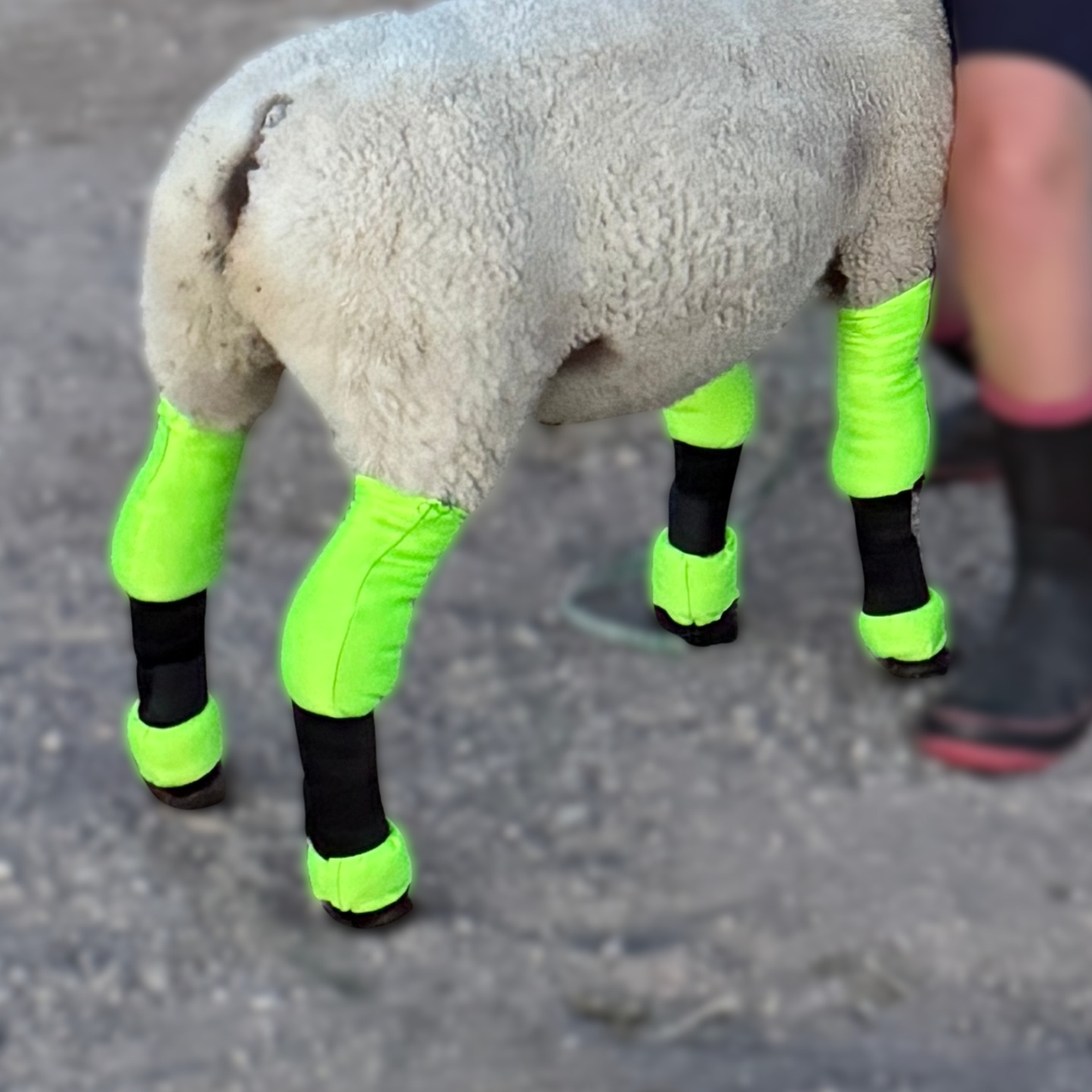 Lamb Shag Socks
