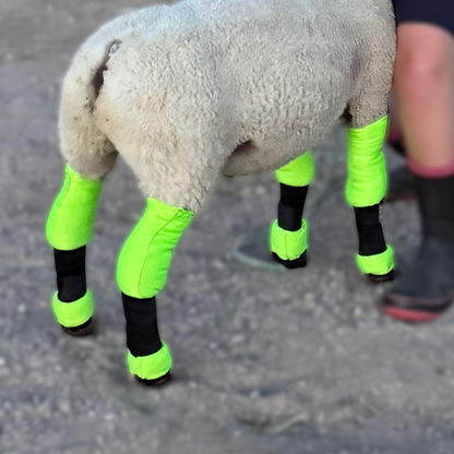 Lamb Shag Socks