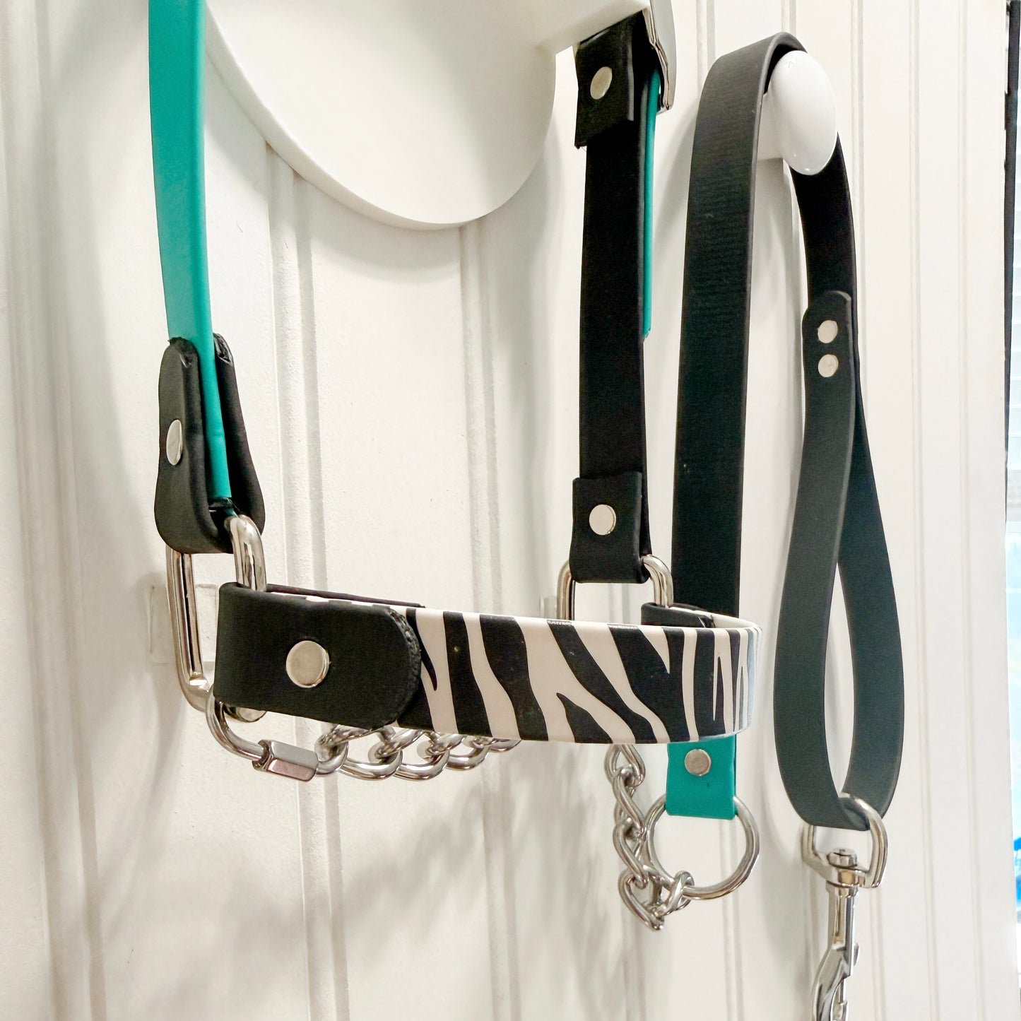 Teal & Zebra Biothane Halter