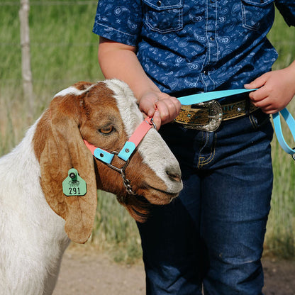 girl holding goat with biothane halter in two collors