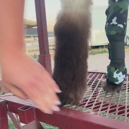 Lamb Shag Socks