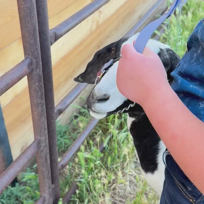 Biothane Goat Halter