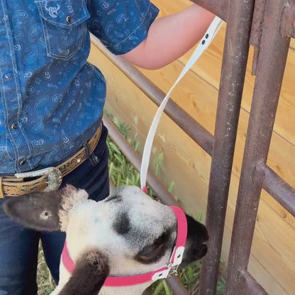 Biothane Lamb Halter